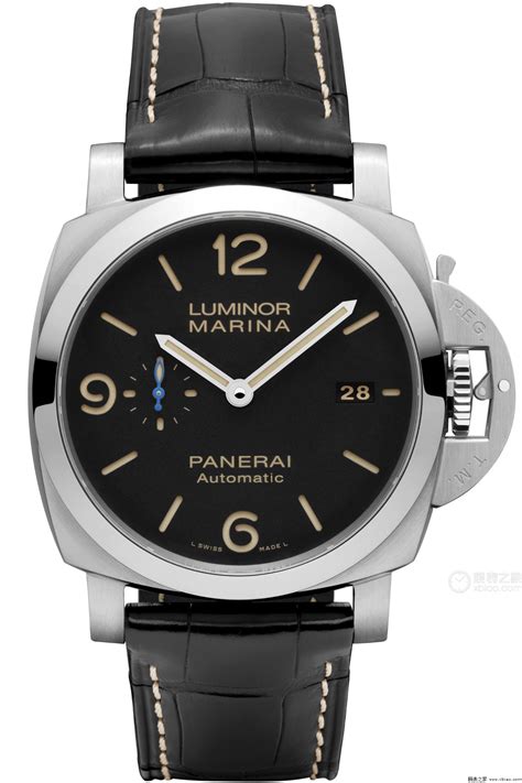 pam01312.