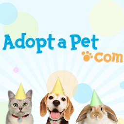 www.adoptapet.com.